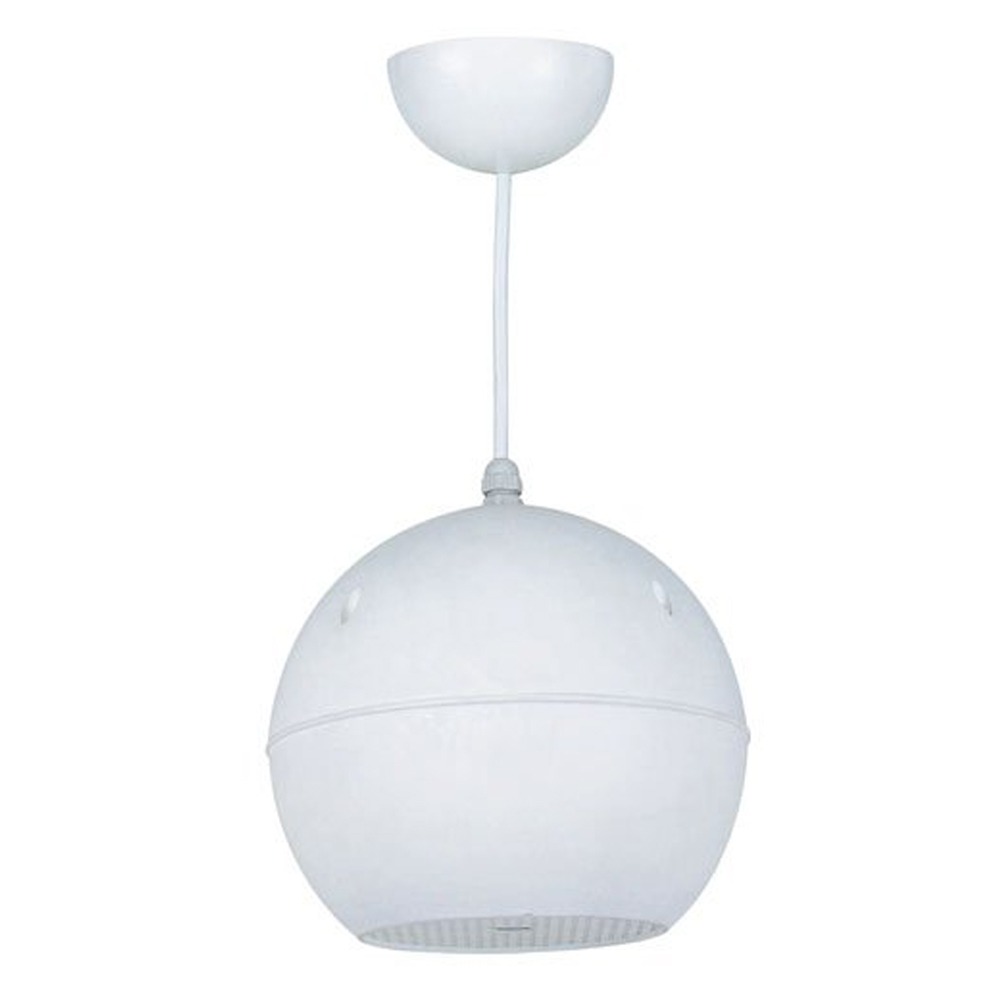 Pro Sound CSR 520 Pendant Speaker Black/White